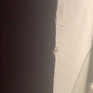 Meet your Posher, Ishay